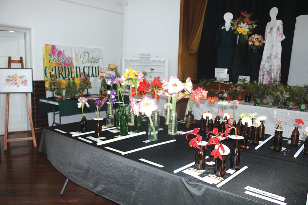 Region’s artistic talent on display post image