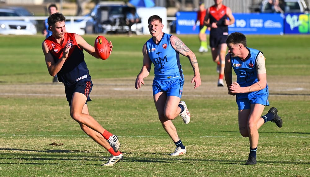 Roos bring Berri’s season to a close post image