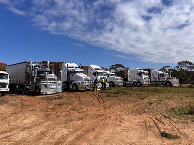 Massive hay donation brings relief to Riverland farmers post image