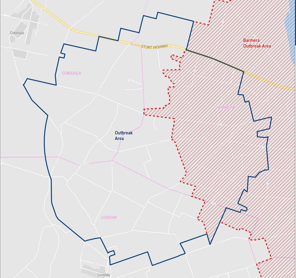 One new fruit fly outbreak declared in the Riverland post image