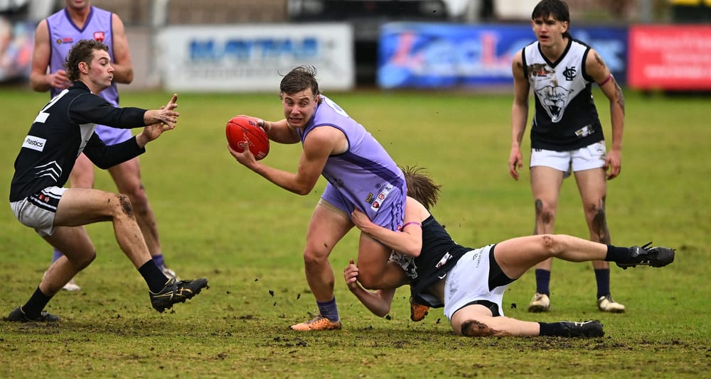Roos shine in wet conditions post image