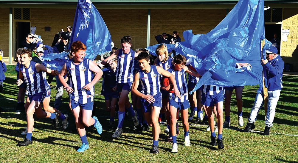How sport holds our communities together - Pat Mickan post image