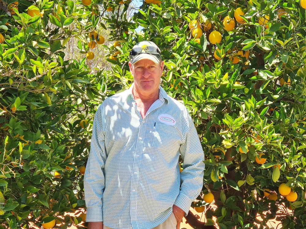Support for ‘$100 held’ citrus system post image