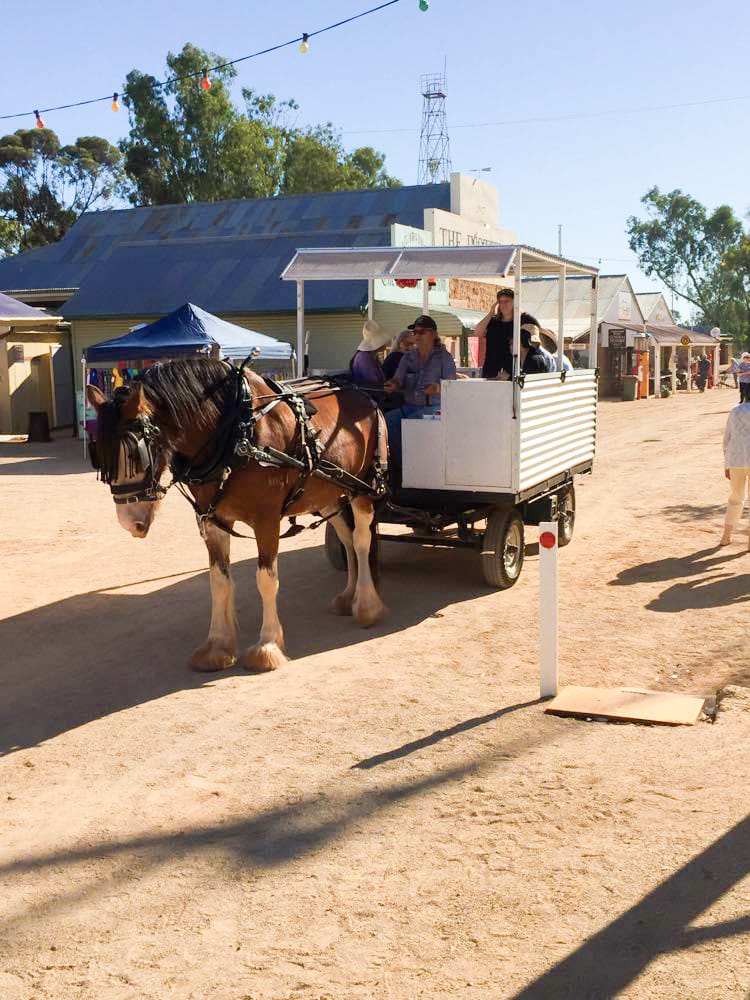 Loxton Alive and Garden Day held this weekend post image