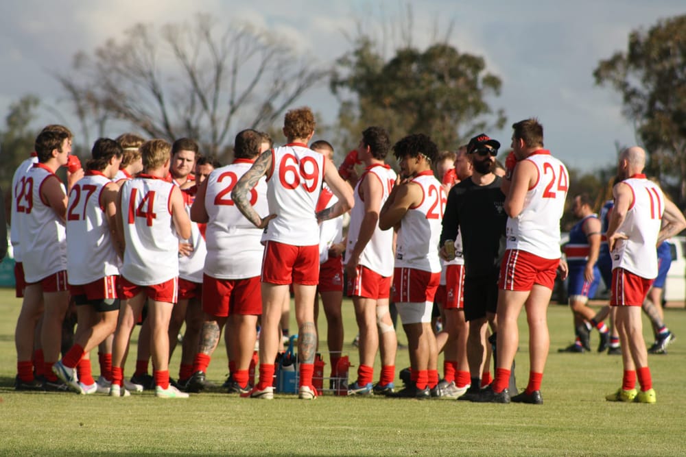Swans prepare to fly in MVFNL post image