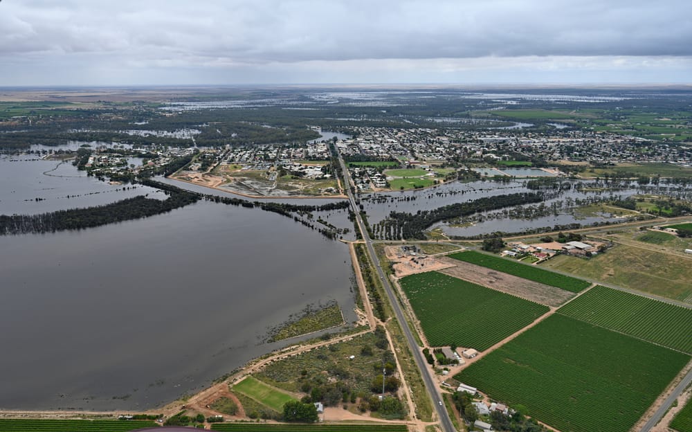 Renmark to avoid a flood crisis, Mr Tolley predicts post image