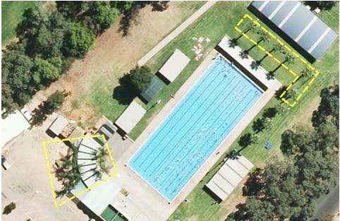 Swimming pool palms going post image