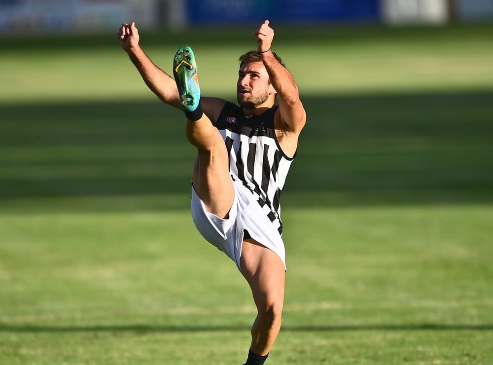 Magpies secure the points post image