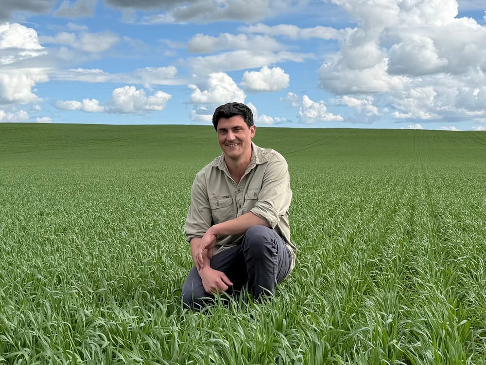 Loxton grower awarded prestigious scholarship post image