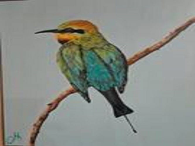 Wattle Range showcase at the Rain Moth post image