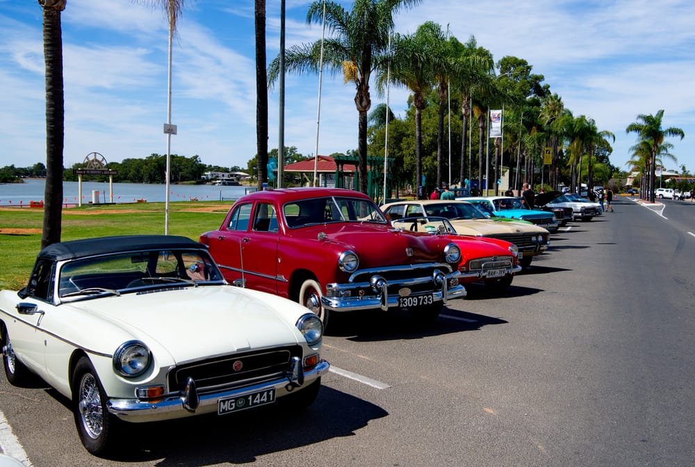 ‘Something for everyone’ at markets post image