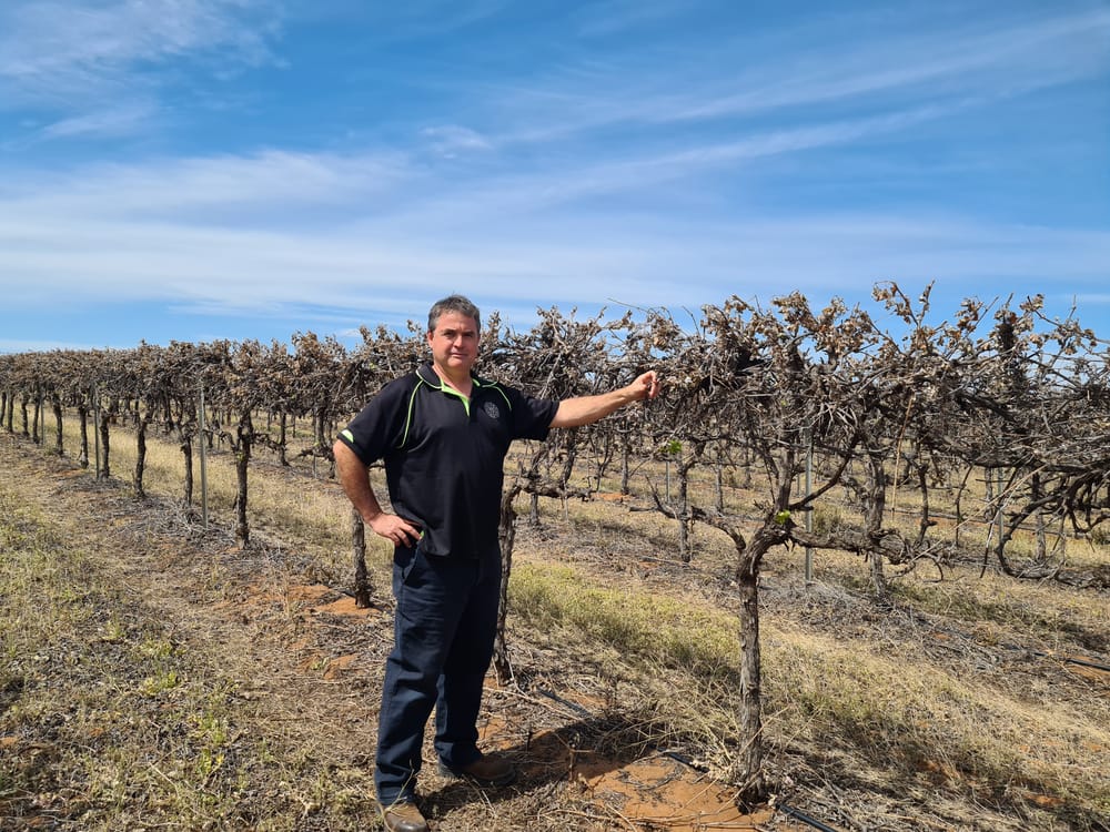 Assessment of frost damage begins post image
