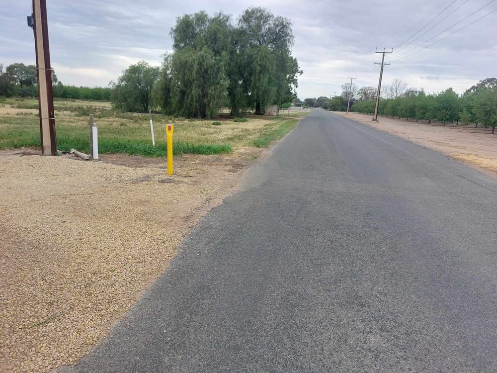 Council to develop new cat by-law, but avoiding compulsory registration… The fine (fe)line post image