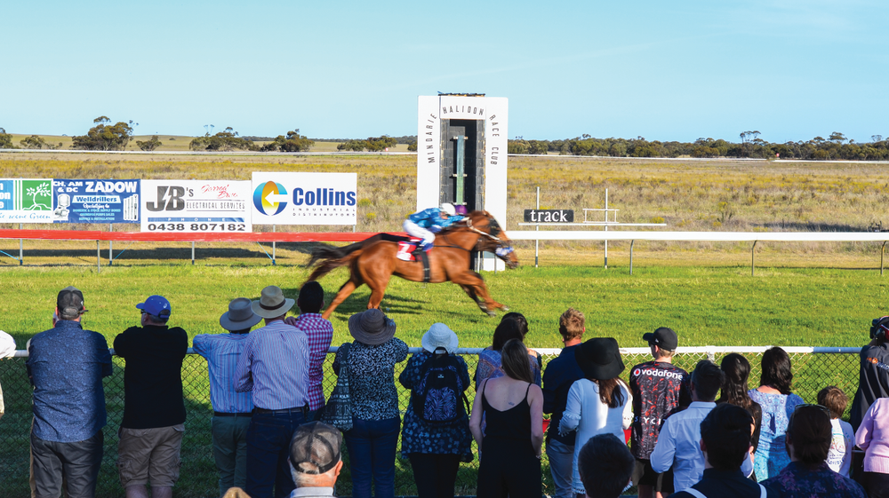 TREVOR NORTON: The last ever Melbourne Cup of the Mallee post image