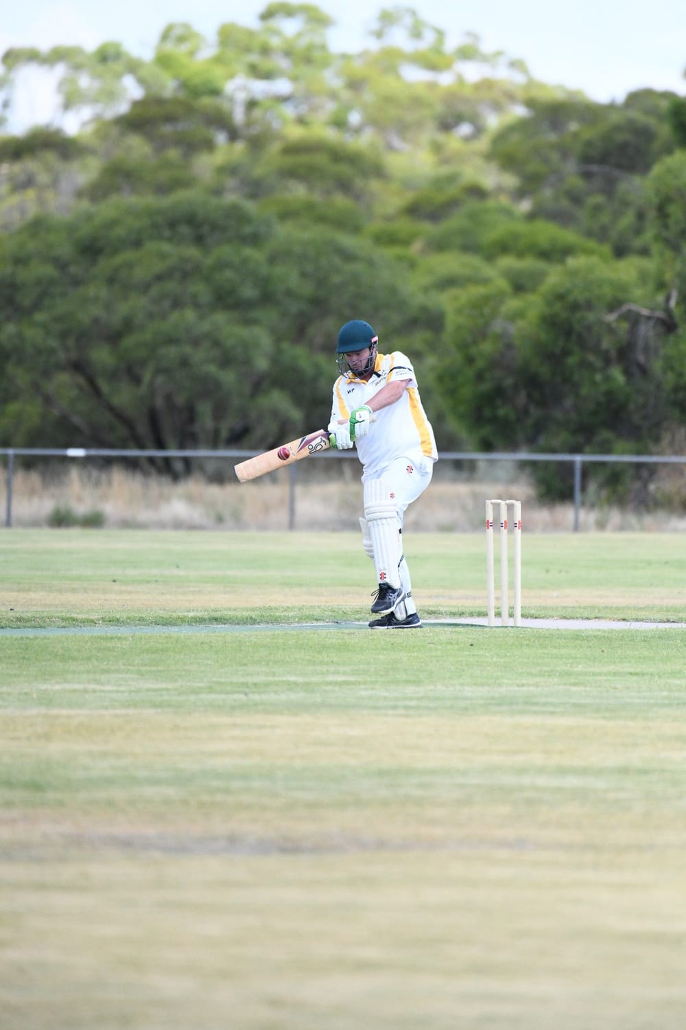 Riverland’s new-look summer of cricket post image