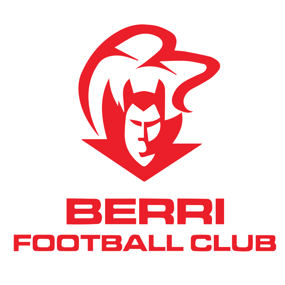 Demons search for new senior coach post image