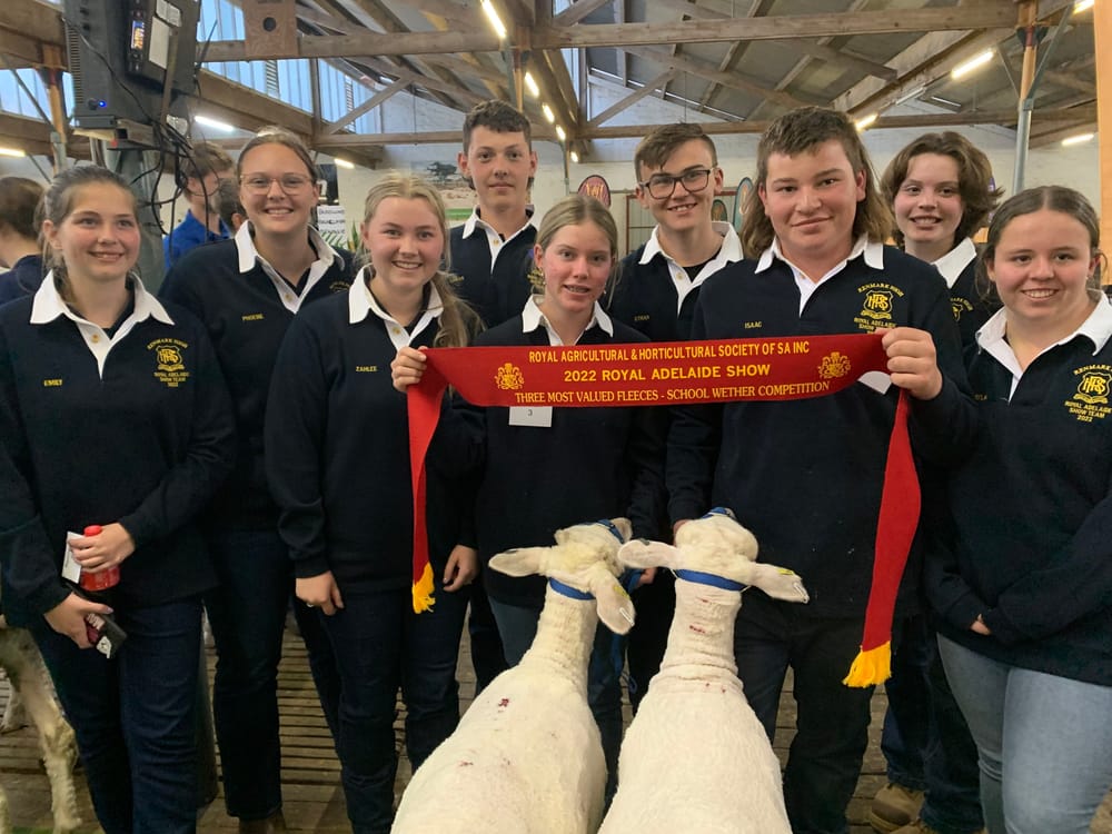 Prizes deliver some sheep thrills post image