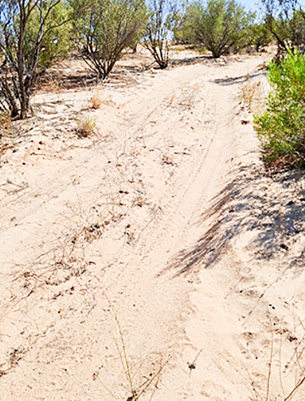Plan to combat lake vandals post image