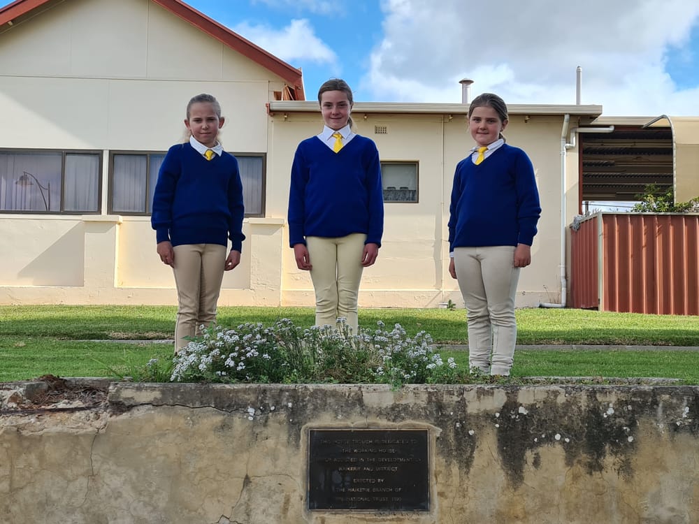 Horse and pony club marks 60 years post image