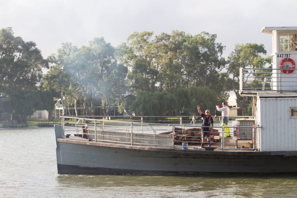 Final engineering touches for PS Canally post image