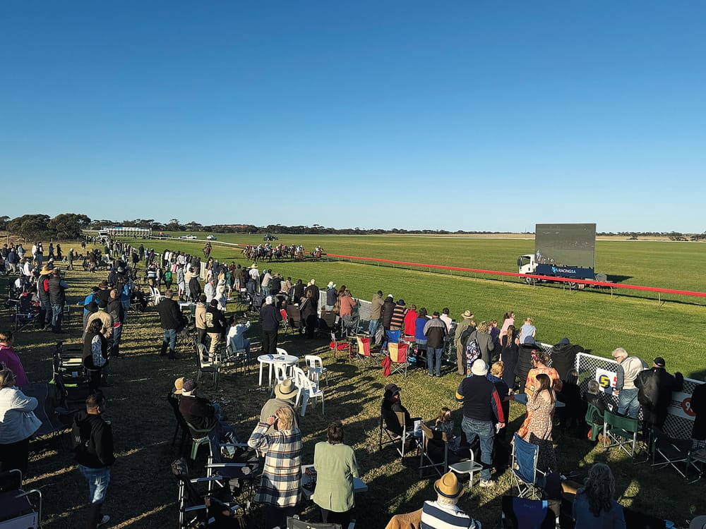 Track ‘ready to go’ says club president post image