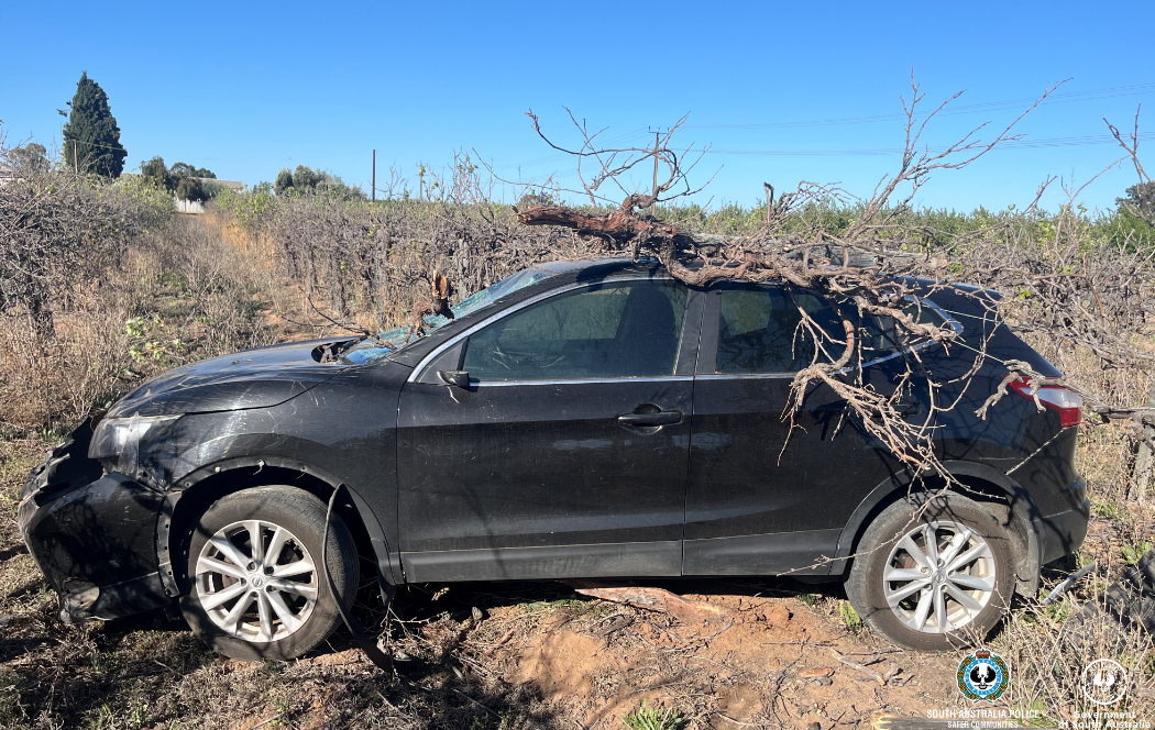 Riverland driver caught recorded seven times the legal limit post image