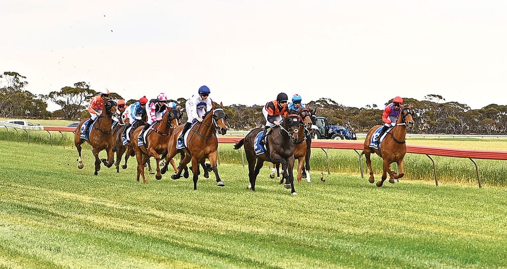 Fantastic plastic for racing club post image