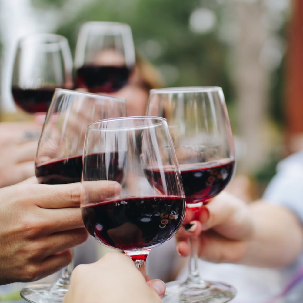 RIVERLATION Wine and Food Festival post image