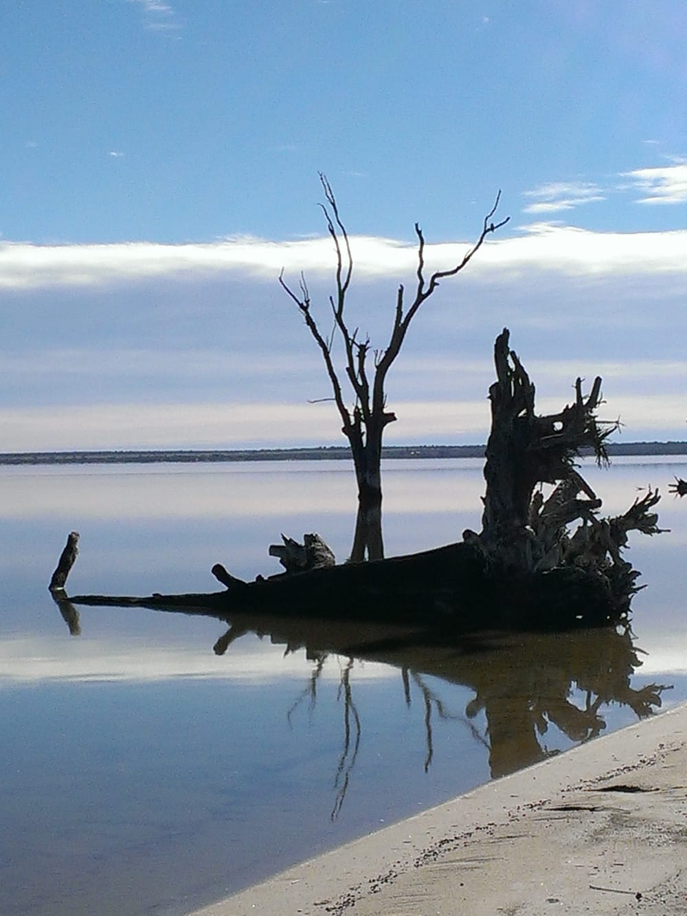 Barmera Easter Twilight Market & Cinema post image