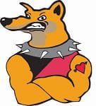 Superdogs take on Darwin masters trip post image