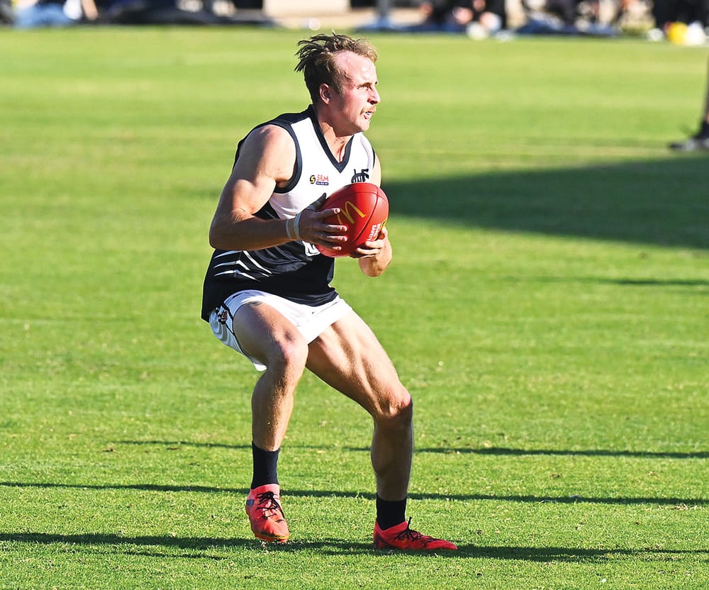 Signings galore at Panther Park post image