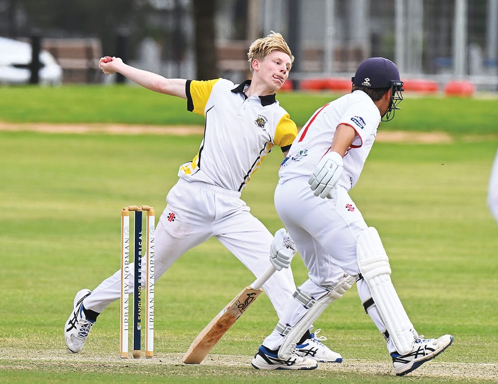 Watson falls agonisingly short of century post image