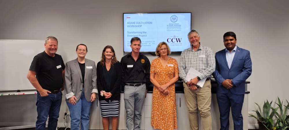 New potential for agave crops? post image