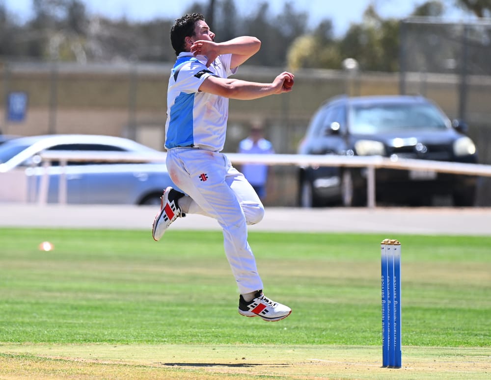 Bluetongues knock off ladder leaders post image