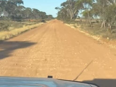 No up-grade for Dog of a road post image