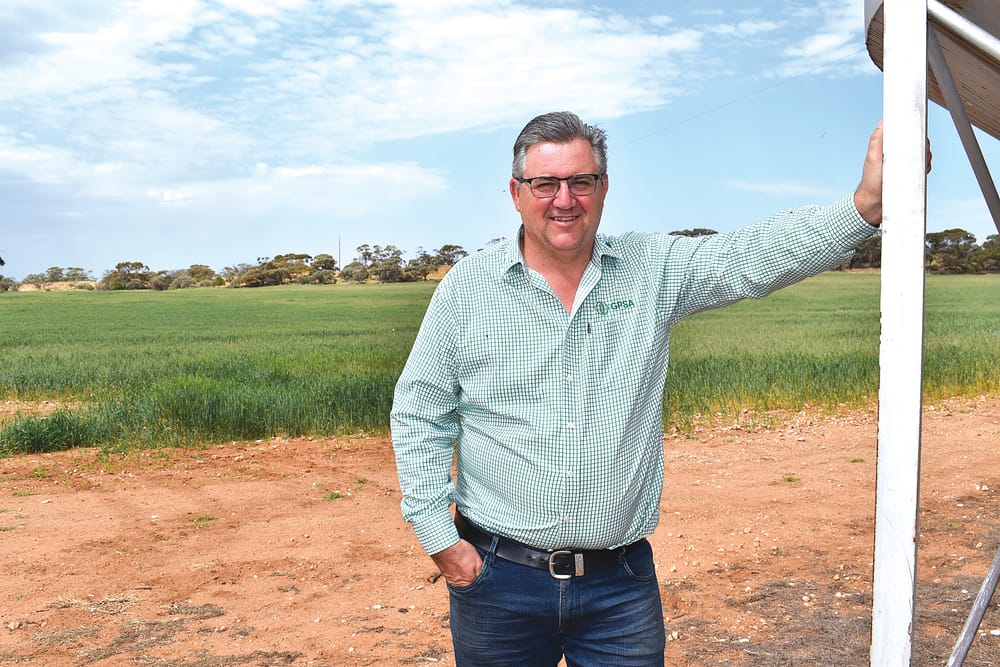 Gladigau: Drought loans a lifeline for farming post image