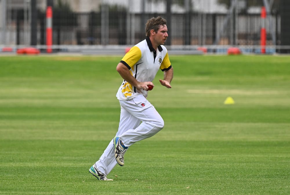 Tigers roar through to home decider post image