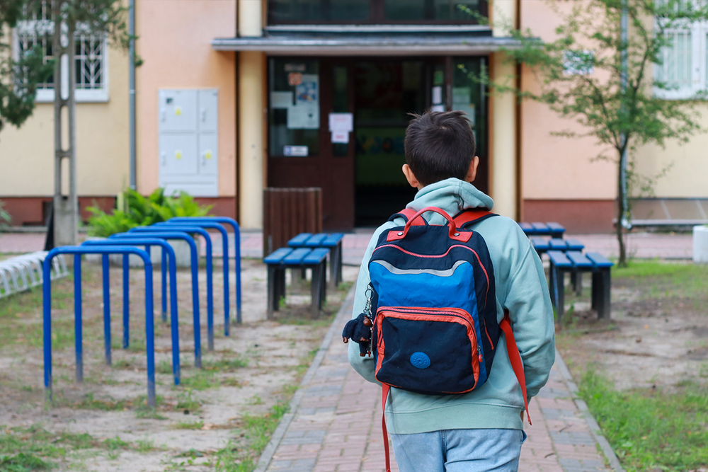 Autism inclusion program to roll out in public high schools post image