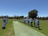 Are the Tigers the RTCA’s team to beat? post image