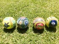 Strikers put to the sword in softball post image