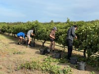 Countdown on to vintage meeting post image