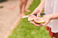 Collective Efforts see Swan Reach cleared of Fruit Fly post image