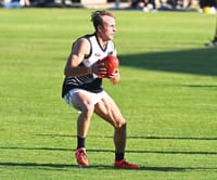 Signings galore at Panther Park post image