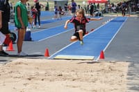 Strong showing at state athletics event post image