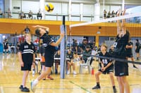 Waikerie volleyballers bring home medals post image