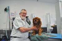 John’s pawsome service awarded post image