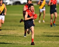 Berri stars set to depart Demonland post image