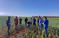 Mallee Sustainable Farming unveils bold strategic plan post image