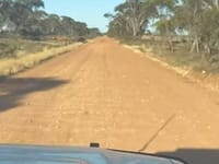 No up-grade for Dog of a road post image