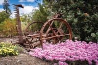 Festival cancelled post image